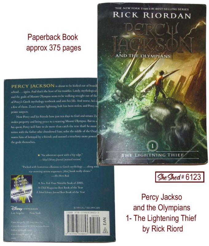 Percy Jackson Lightning Thief Book 1 Paperback Rick Riordan Disney Hyperion