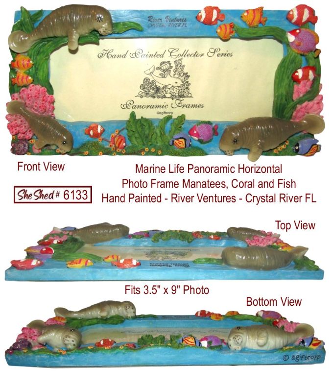 River Venture Crystal River FL Manatee Coral Panoramic Picture Frame 3.5x9 Photo